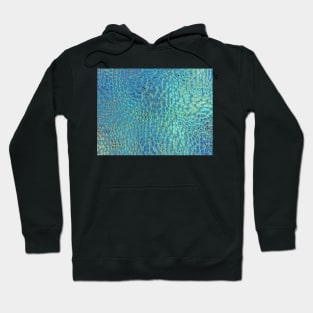 Celestial Snake Skin Hoodie